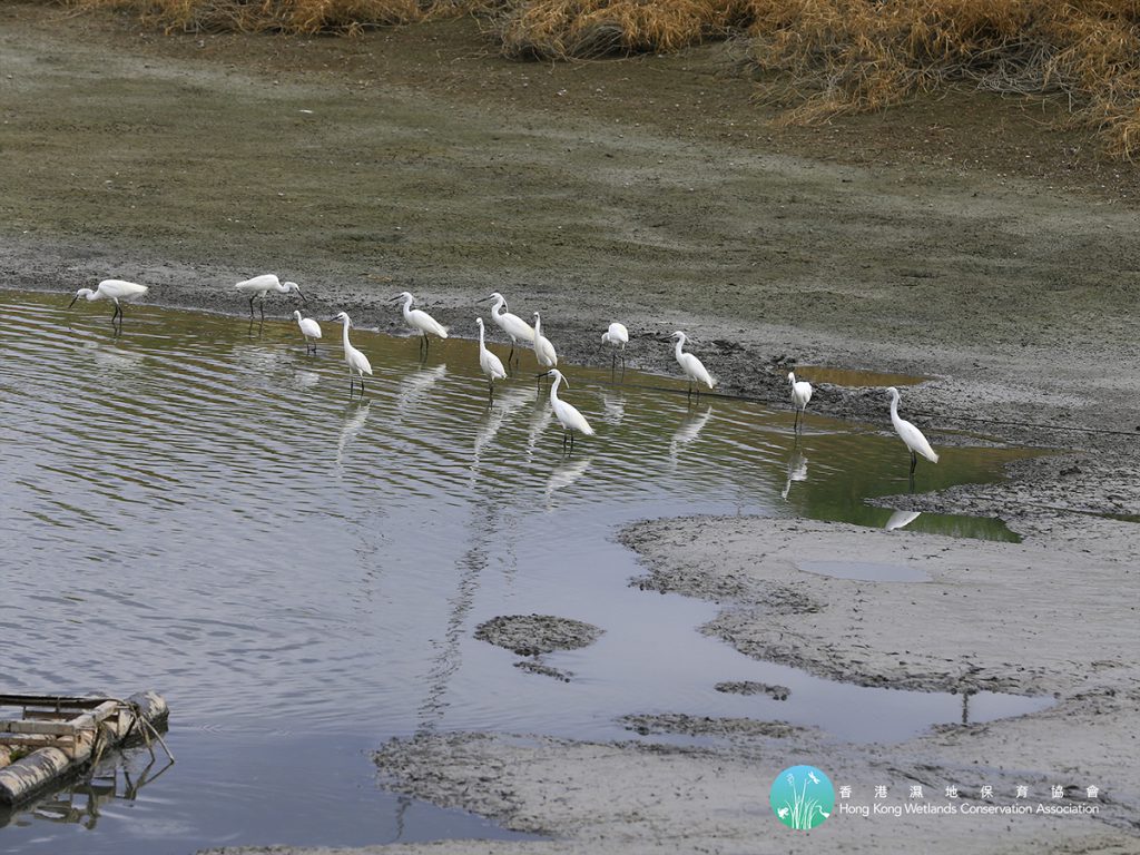 a. Habitat Management Measures 生境管理措施